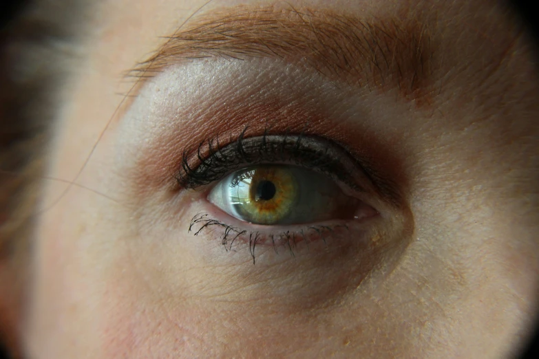 an eye view with makeup applied with a brush