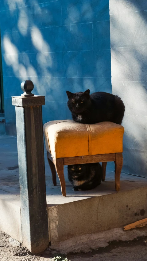 two cats sitting on top of an orange chair