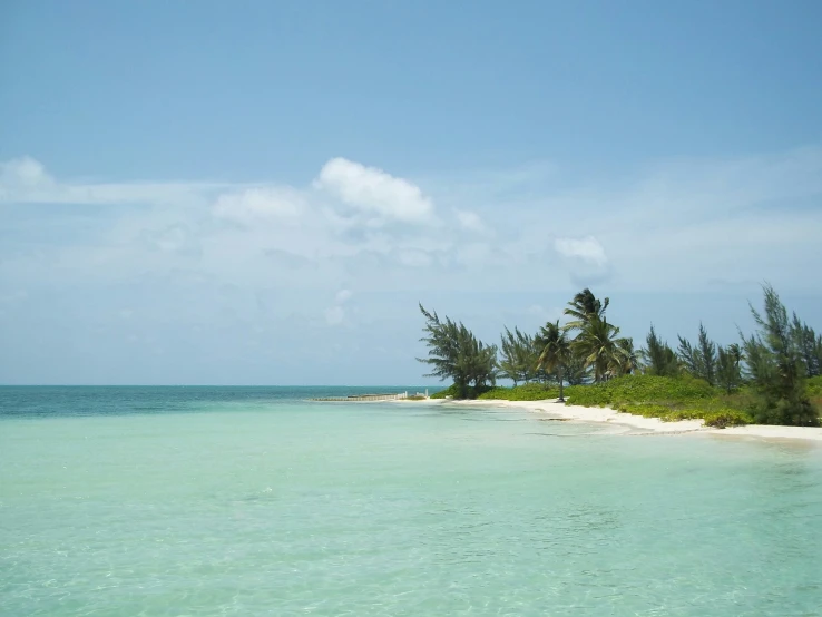 a lone beach and palm trees sit along a clear ocean