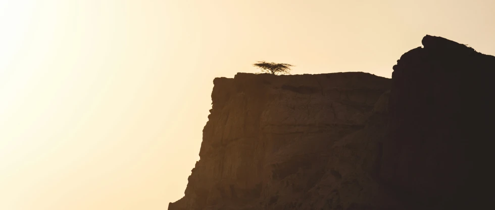 a lone tree on top of a cliff in the sun