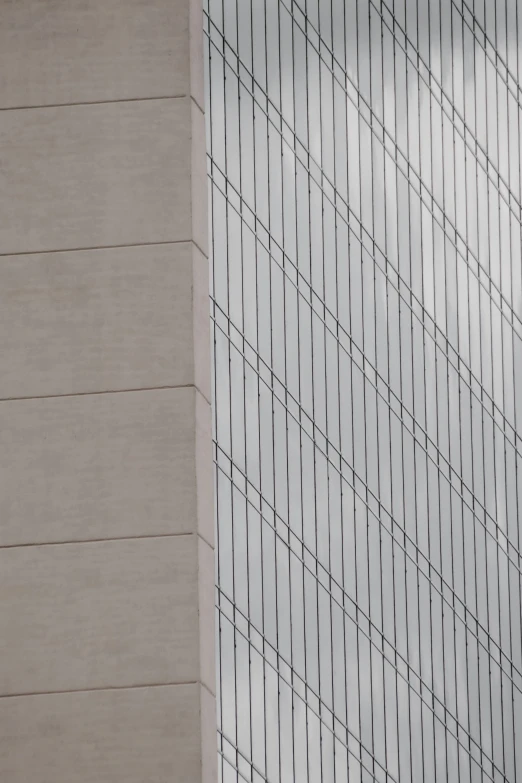 two birds sitting on the ledge of a tall building