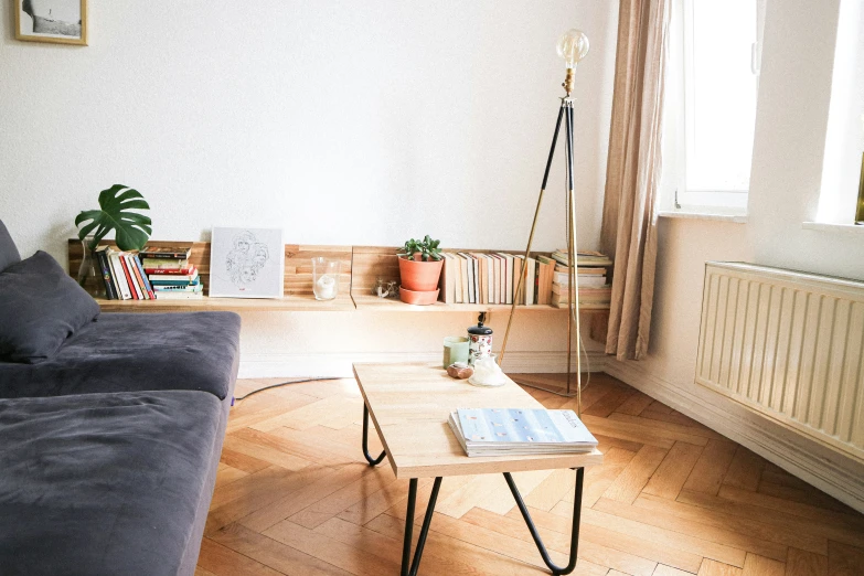 the living room is furnished with furniture from a low angle