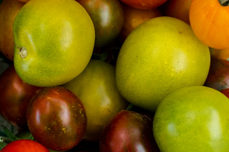 a pile of different kinds of fruits and vegetables