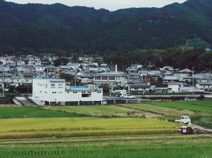 a view of a village with farm land near by