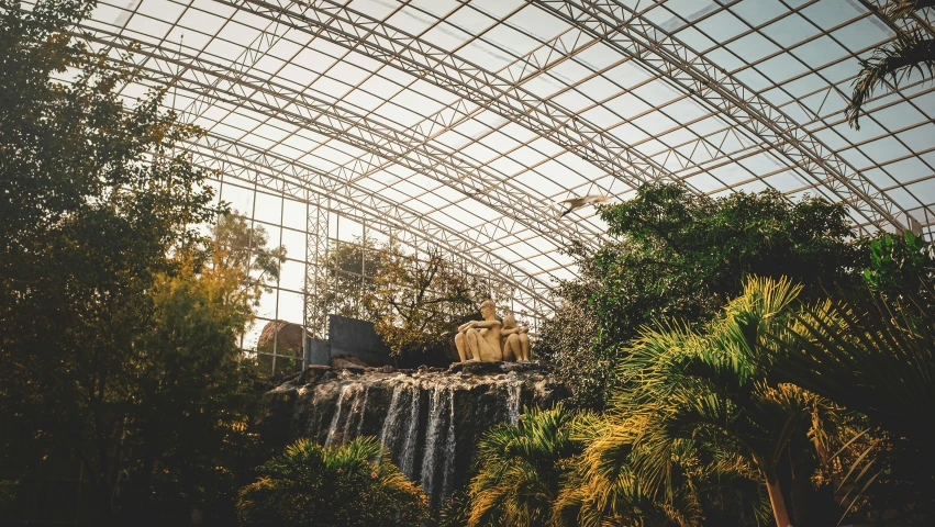 inside a tropical park where there are a waterfall