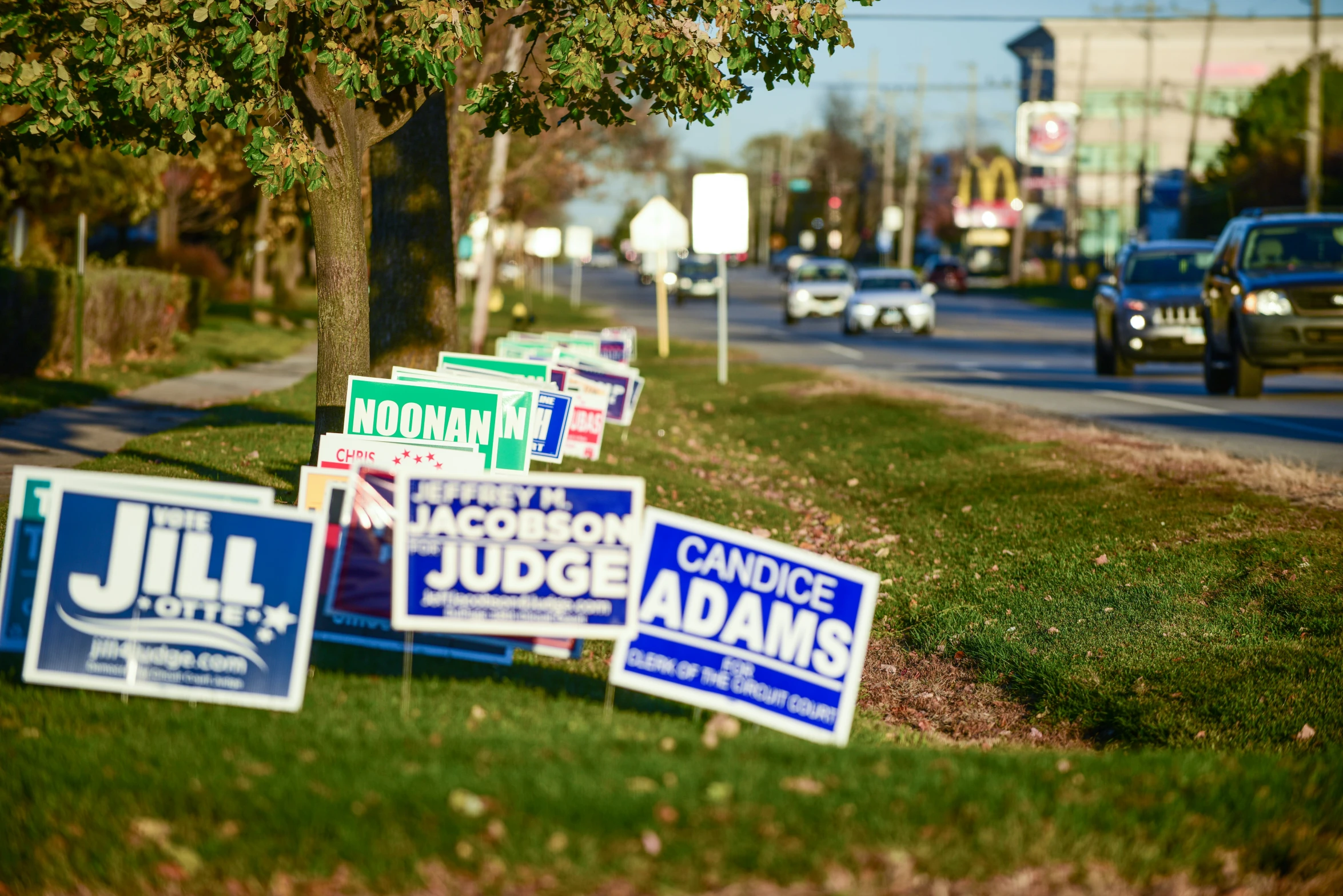 a number of political signs in the grass near trees