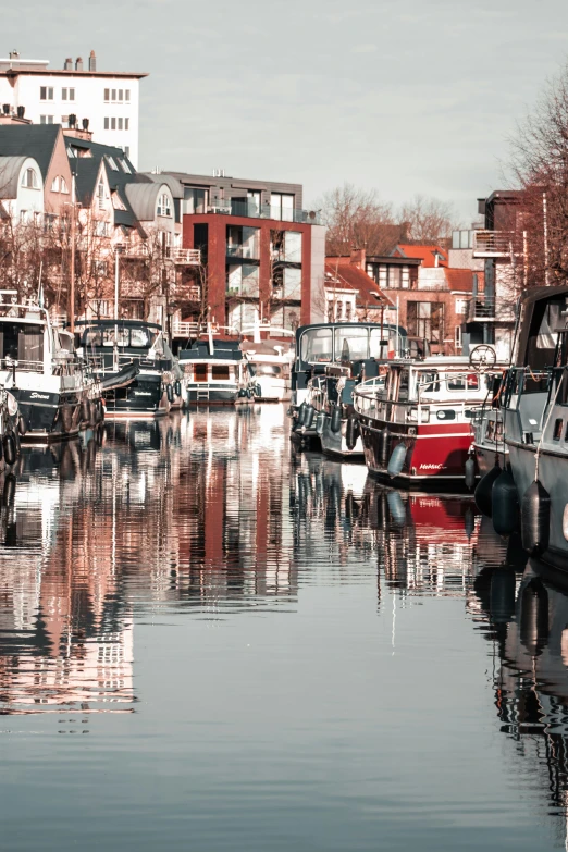 boats in a harbor with several buildings and trees in the background