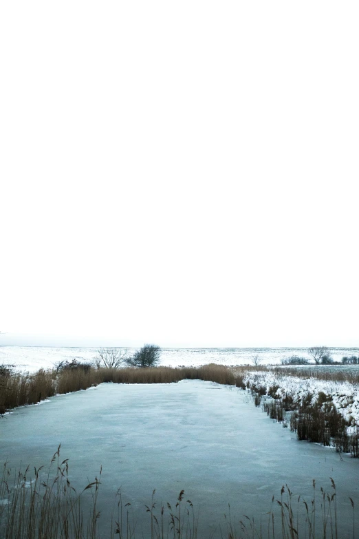 a path runs through the marsh and snow