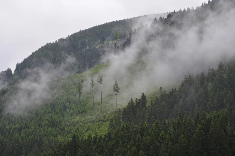 the mountain is covered with mist and fog