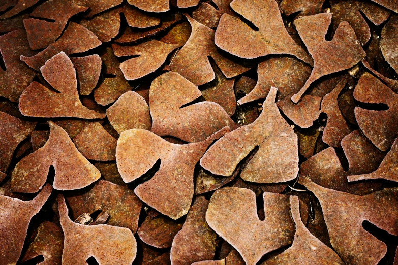a brown background with an abstract image of various leaves