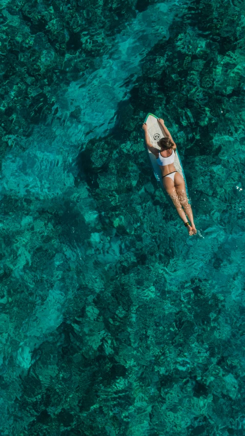 a person on a surf board in the water