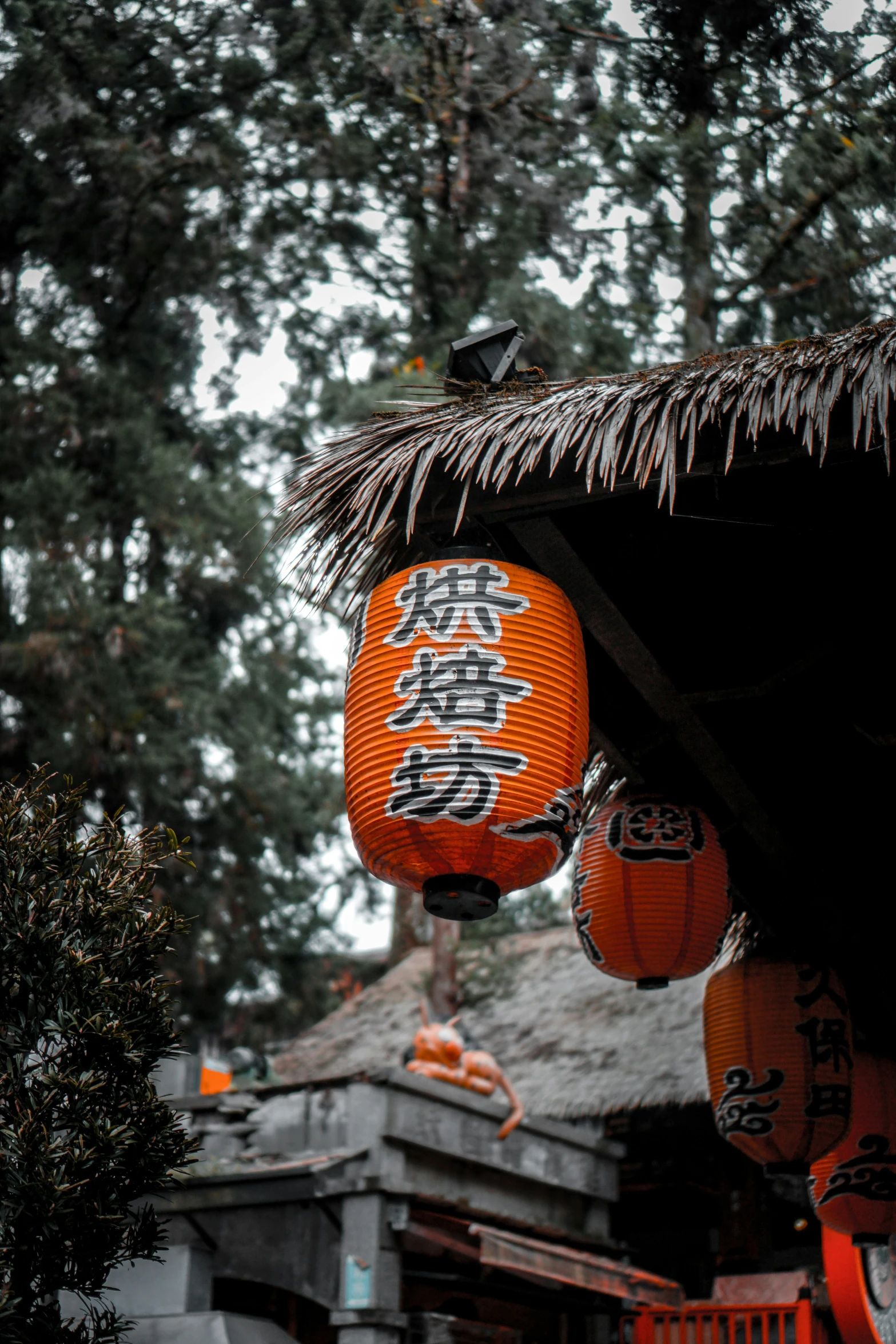 oriental lanterns hanging from a roof with trees in the background