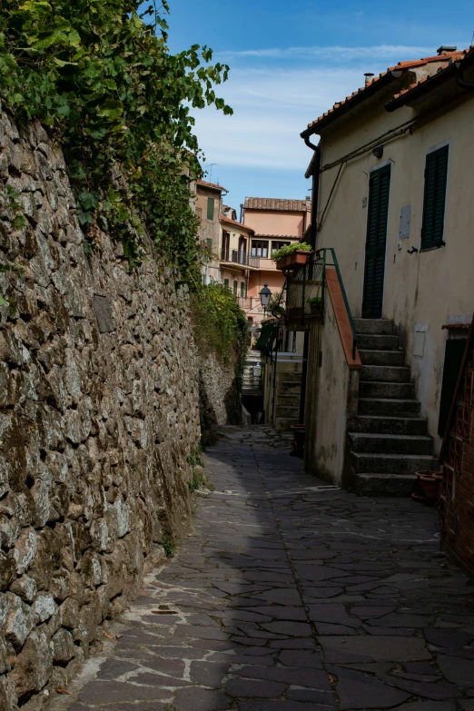 a path between two buildings with steps between it