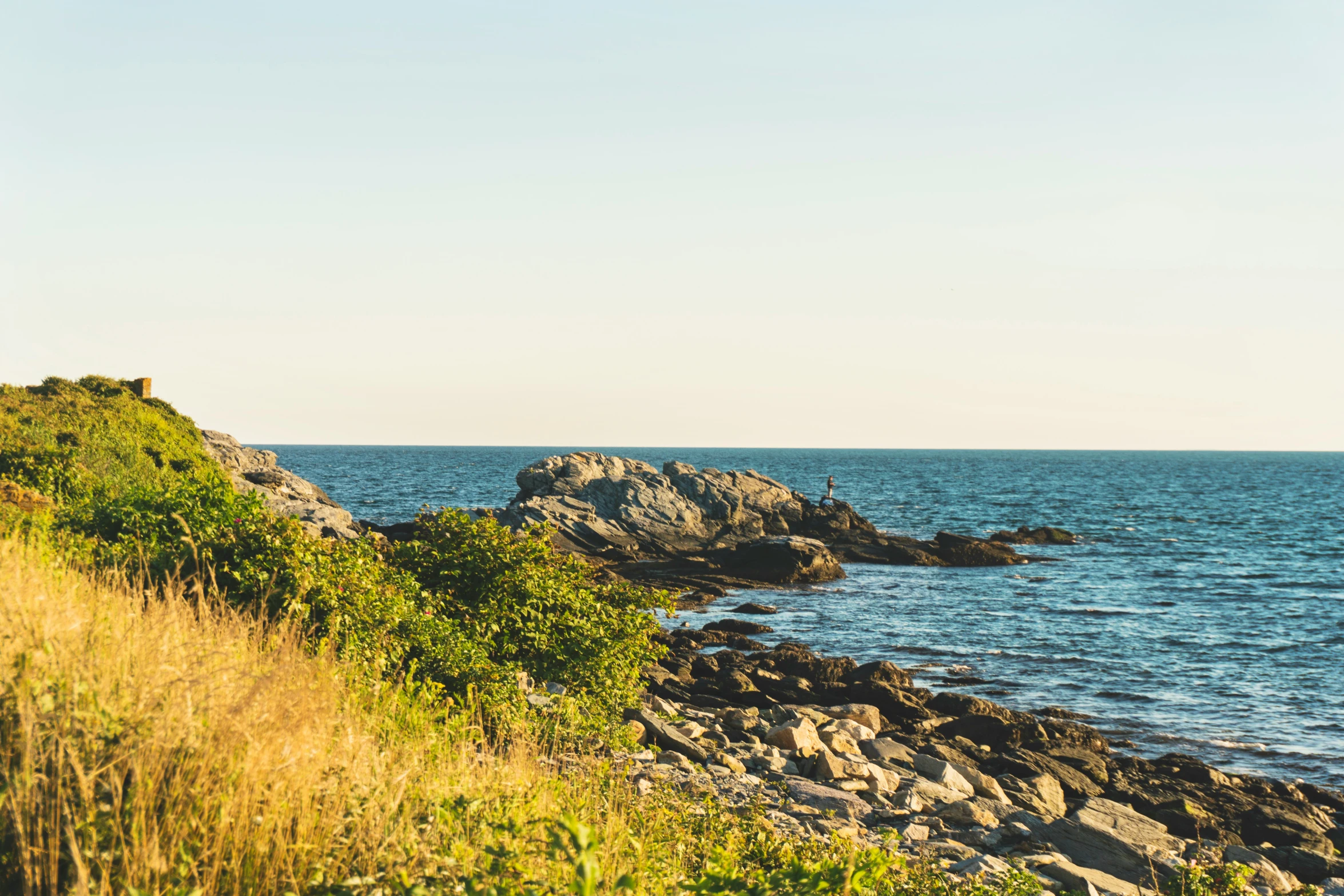 the cliff near the water is full of grass and weeds