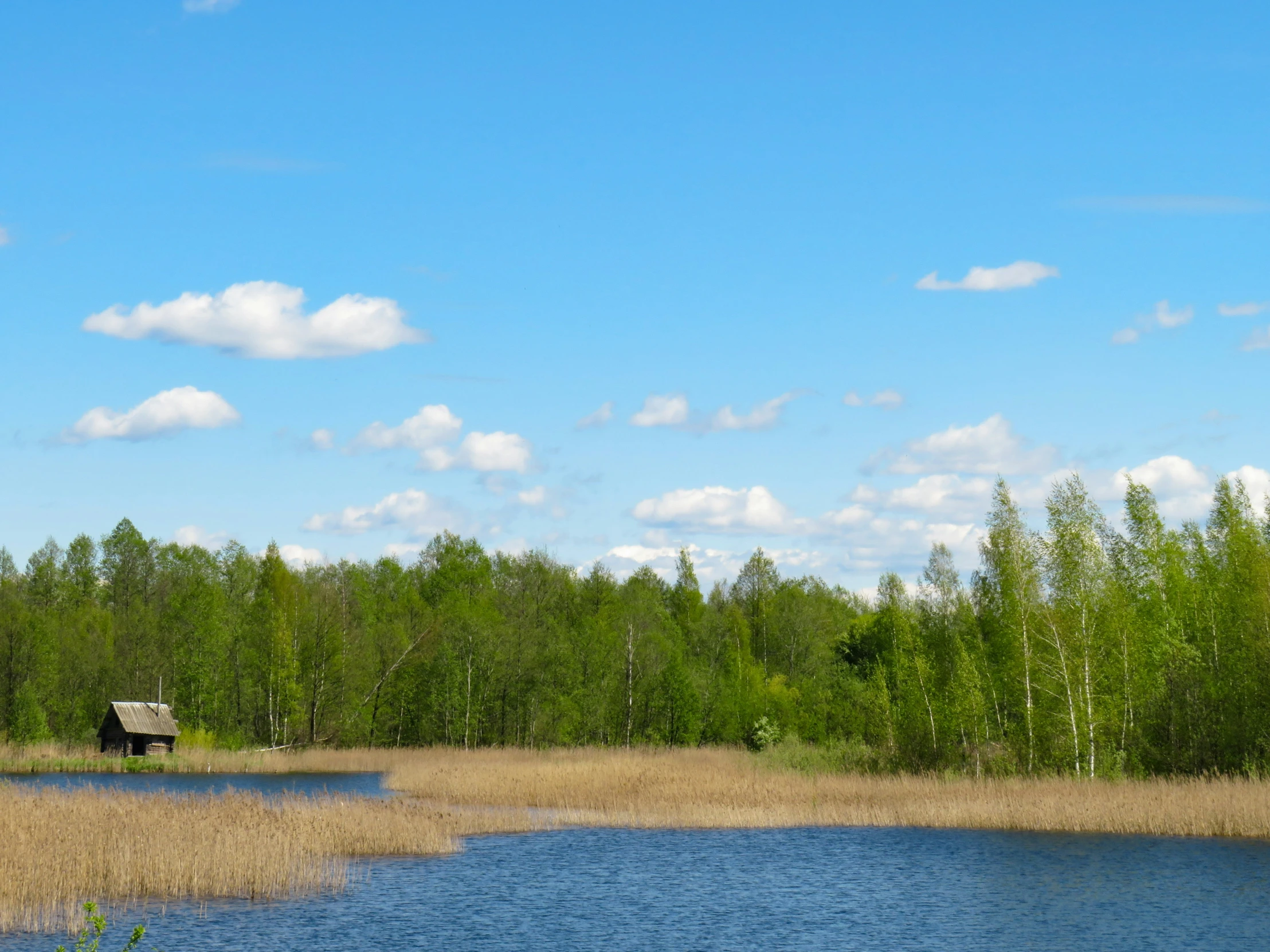 a beautiful view of some trees and some water