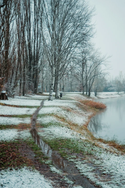 a small pond in a snowy forest with some trees