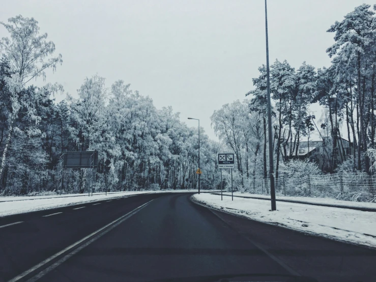 a street has lots of trees in it