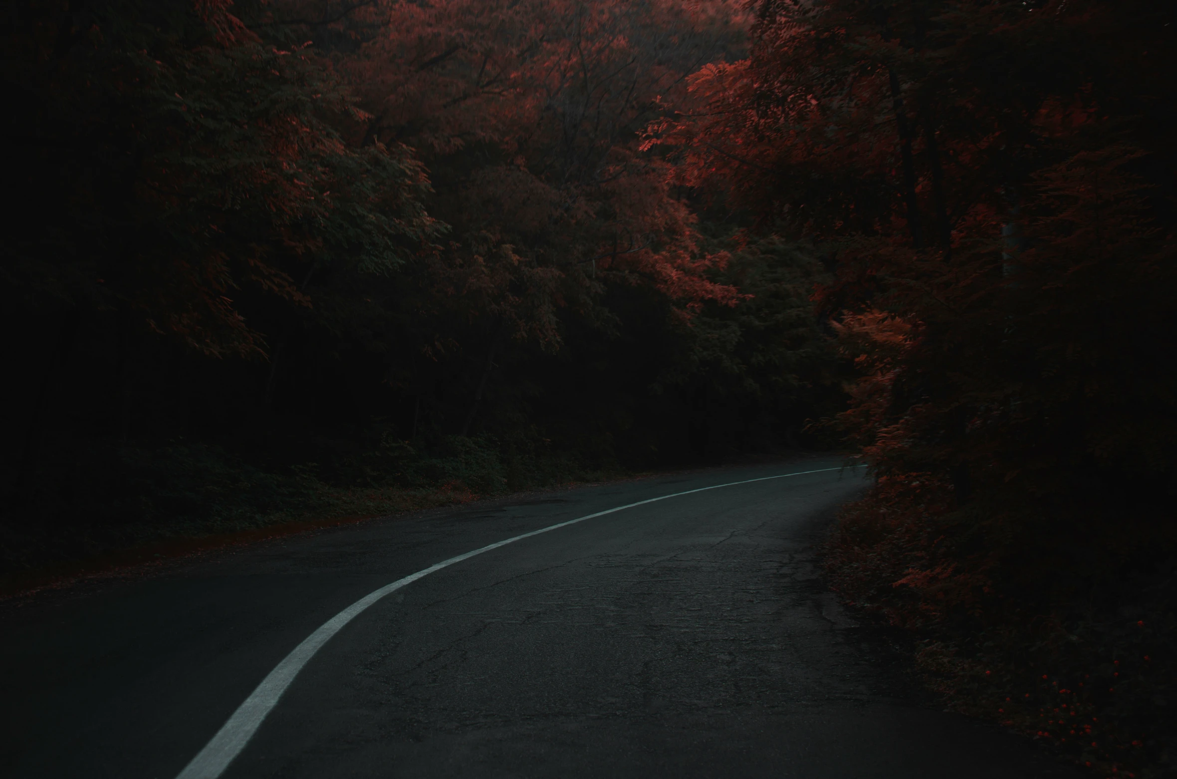 a road in the woods has been dark and filled with trees