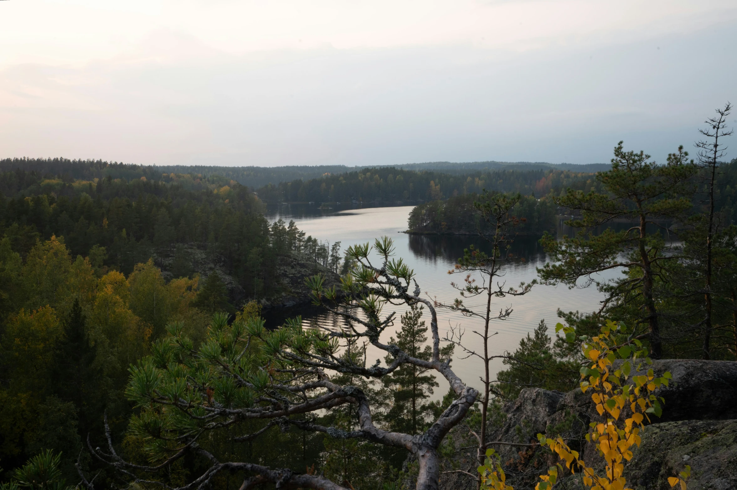 a lake with some trees on it and sky in the background