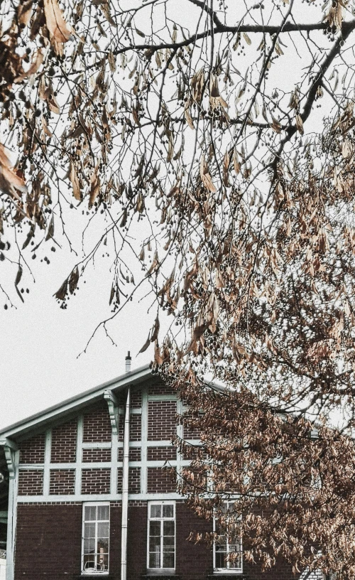 a brick building with windows in front of some trees