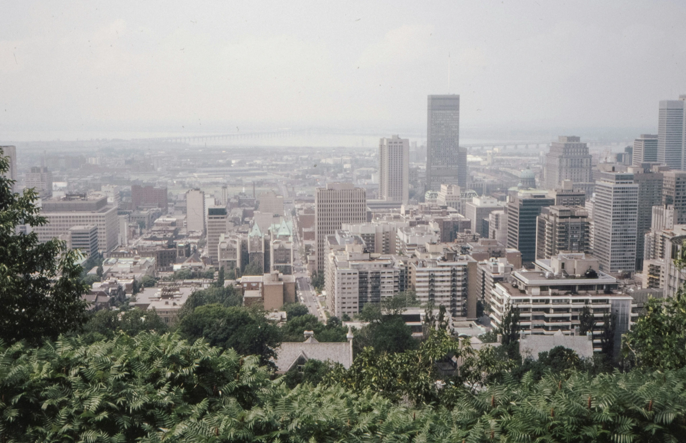 some buildings and trees in the distance on a cloudy day