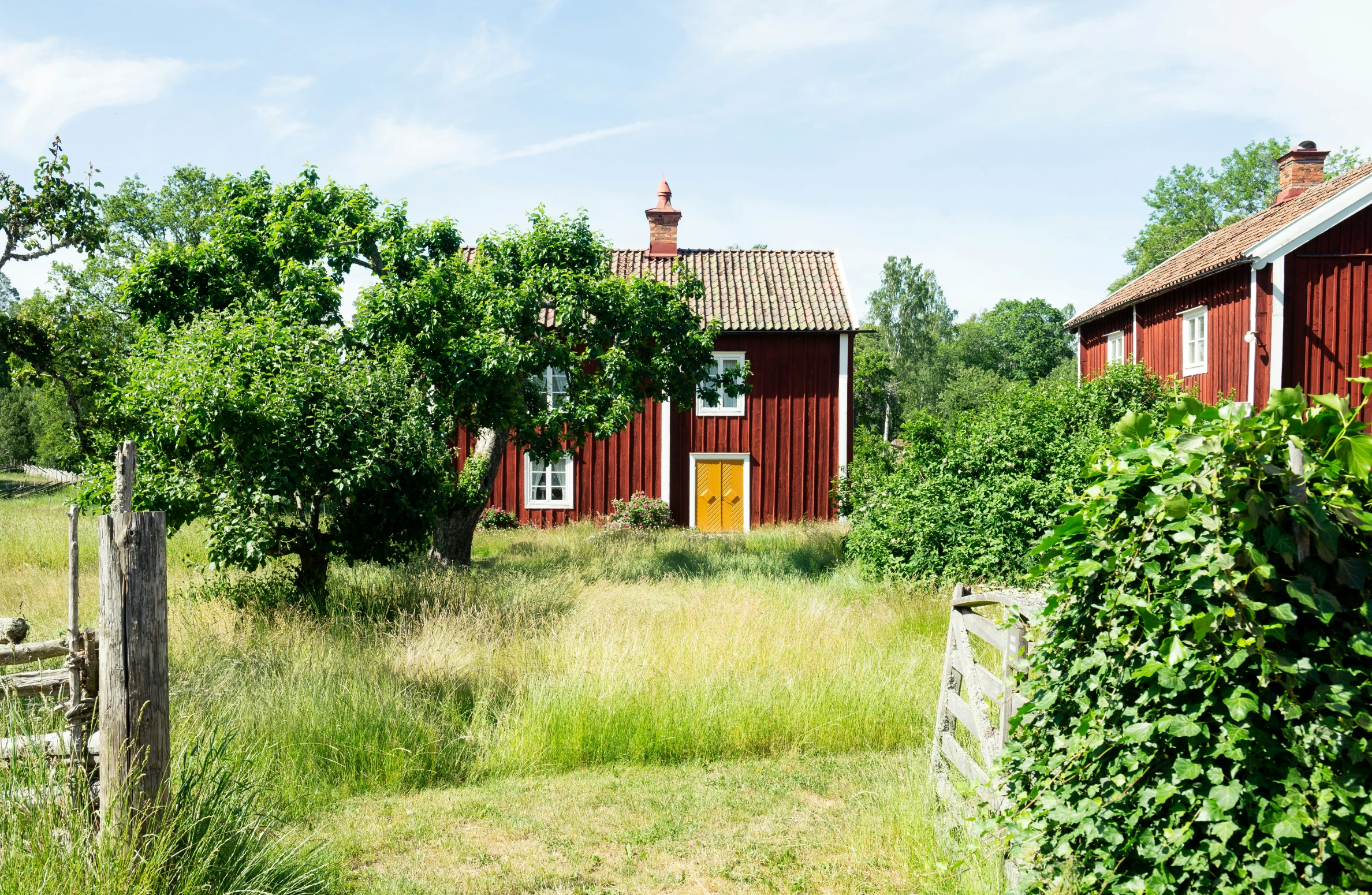 a green bush and yellow door in front of a red building