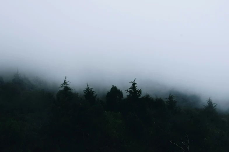 fog is lifting off the trees from a mountain range