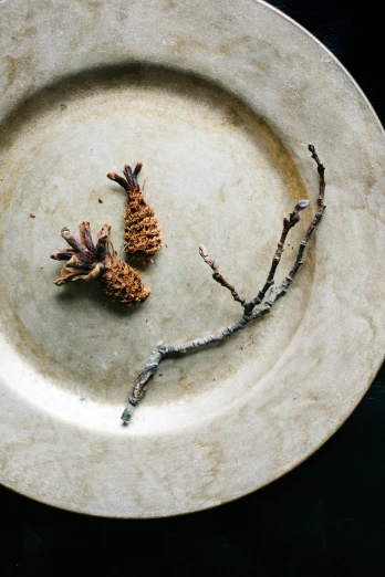 the two pine cones are on top of the plate