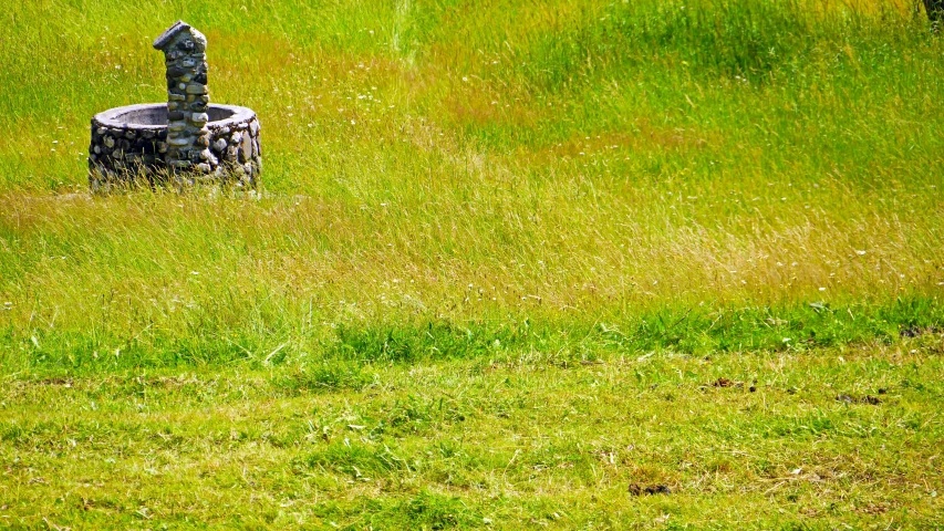 a bird bath sitting in the middle of a field