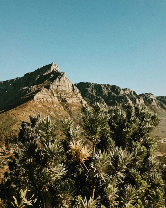 some mountains are seen in the distance with green trees