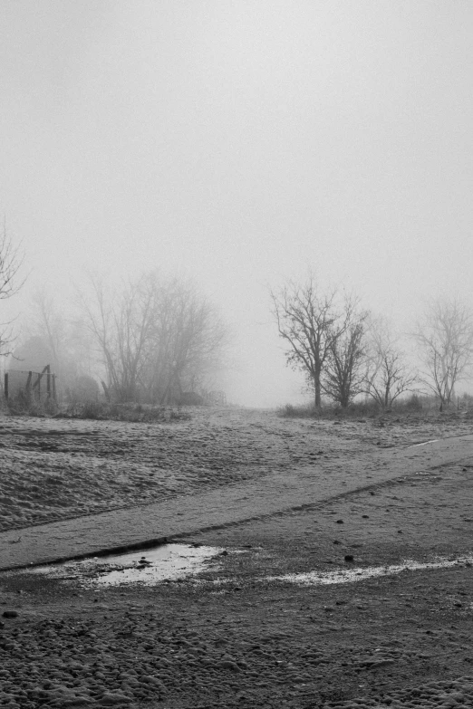 a black and white po of a foggy field