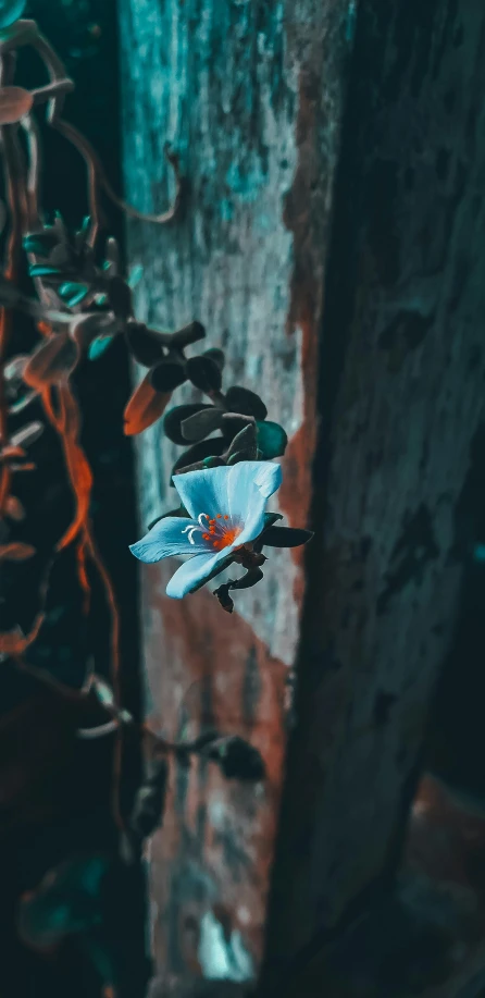 a white flower sits in the middle of a tree