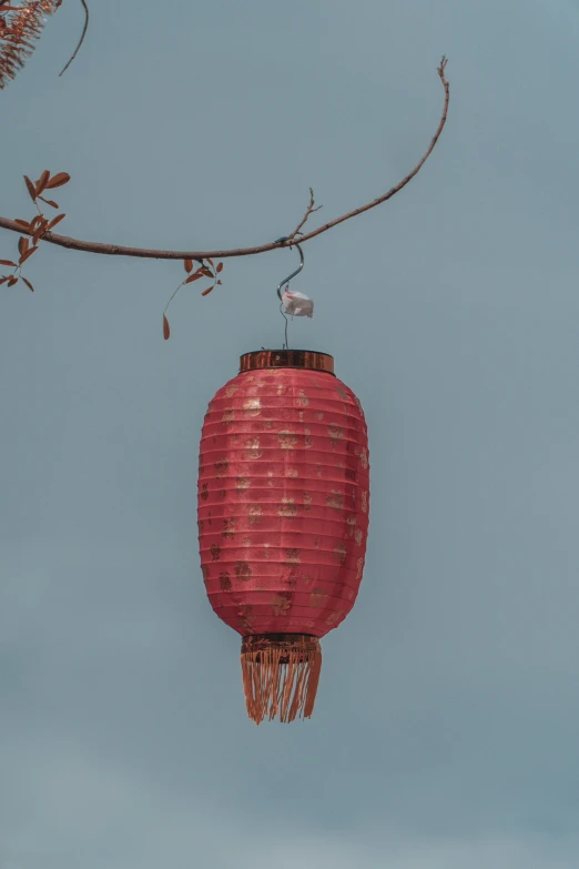 a bird sitting on top of a red lantern