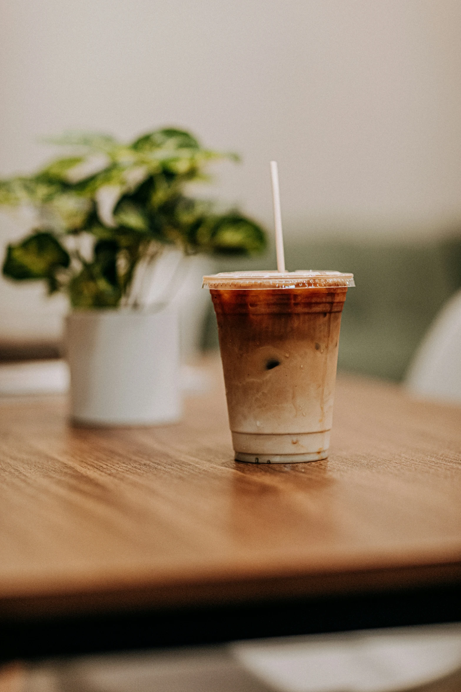 a cold beverage sits on the table beside the potted plant