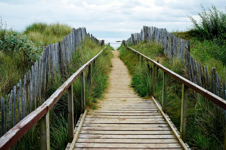 a wooden path through an abandoned farm