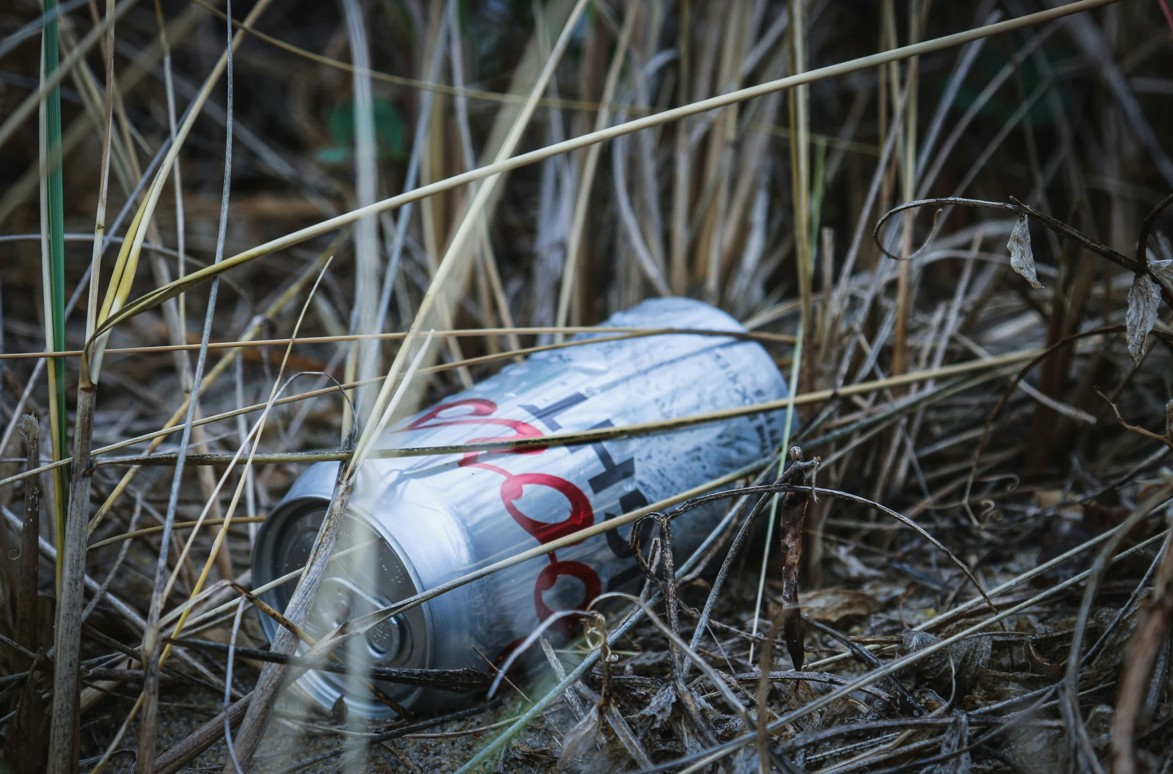 a discarded soda can lays in the grass