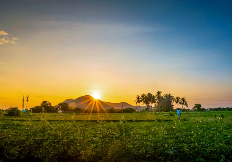 the sun setting behind the mountains in a green field