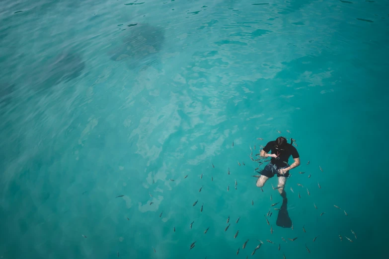 man swimming in clear waters near small fish