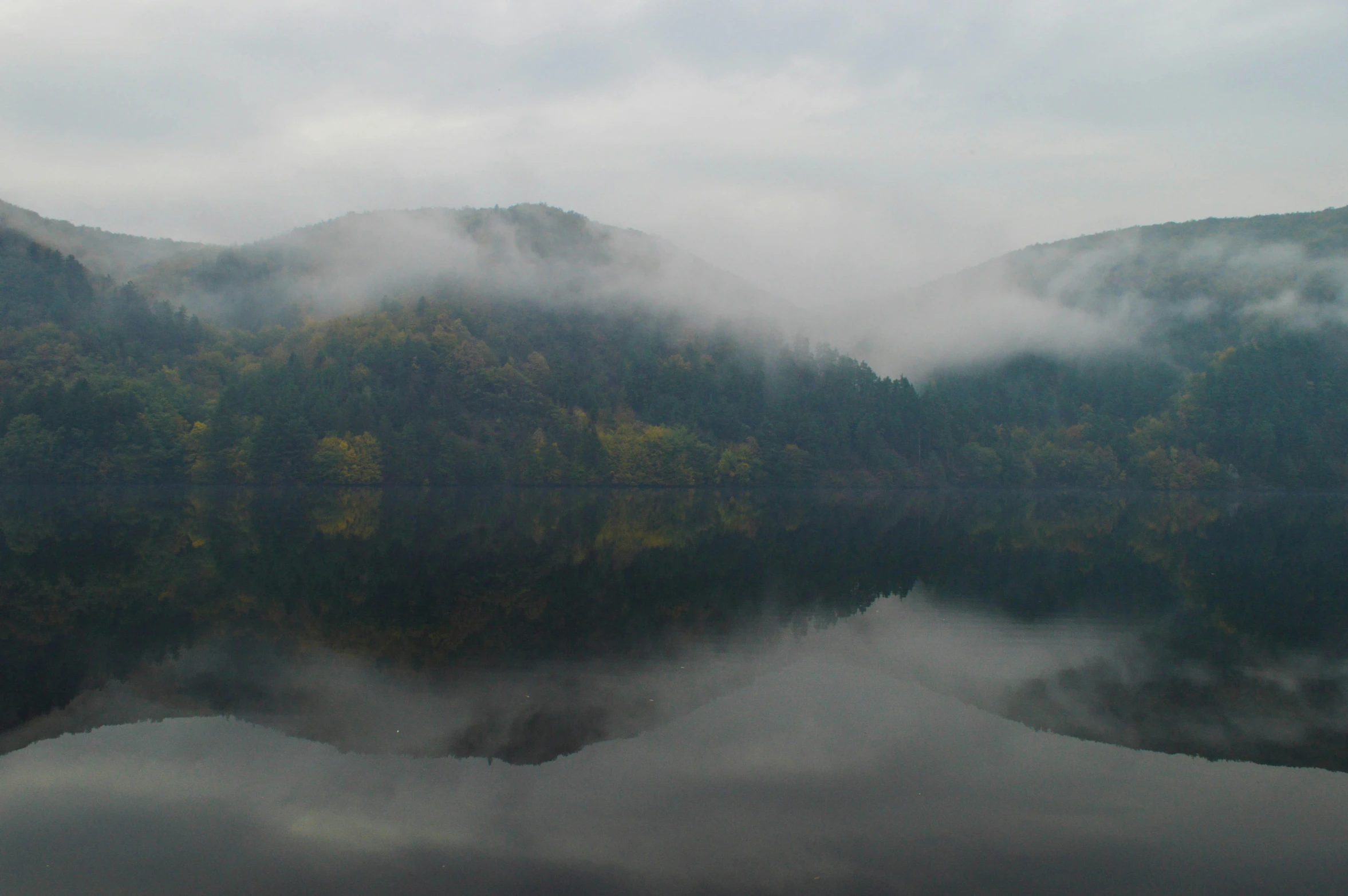 mountain side with trees, fog, and water