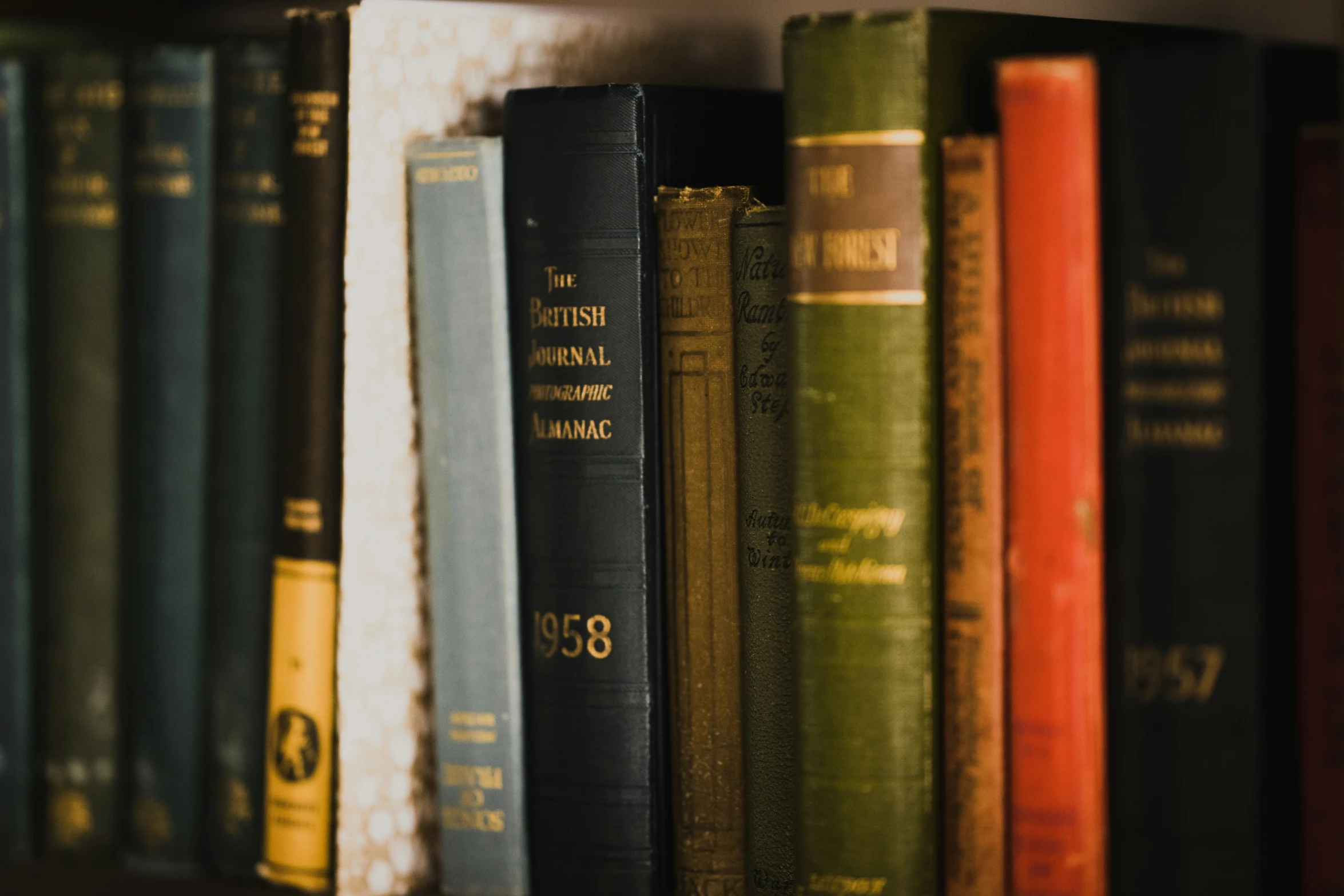 old books line the side of an old bookcase