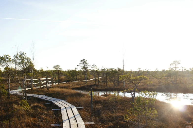 a bridge over some water and bushes in the background