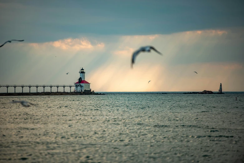 the water in front of a lighthouse with birds flying by