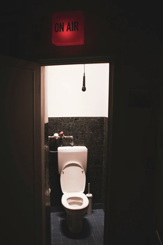 a bathroom with a black tiled floor and a white toilet