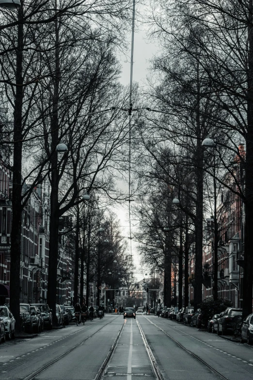 a view down the street during the night with lots of trees in the distance