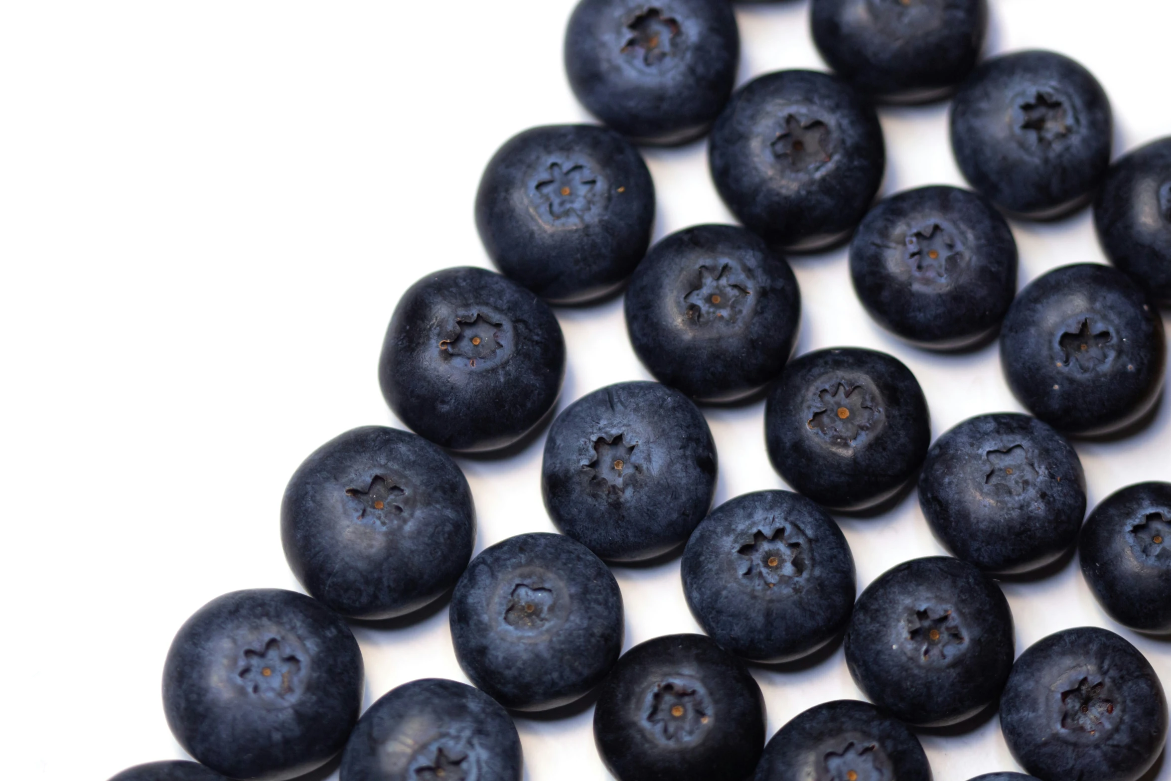 small blueberries that have just been picked from the ground