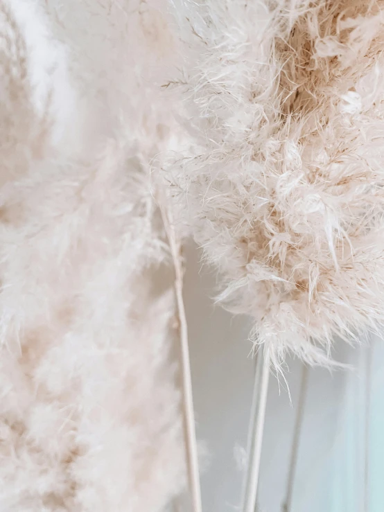 white furry and beaded hat hanging on a wall