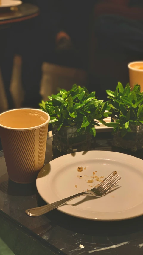 a empty white plate and a small green plant are on the table