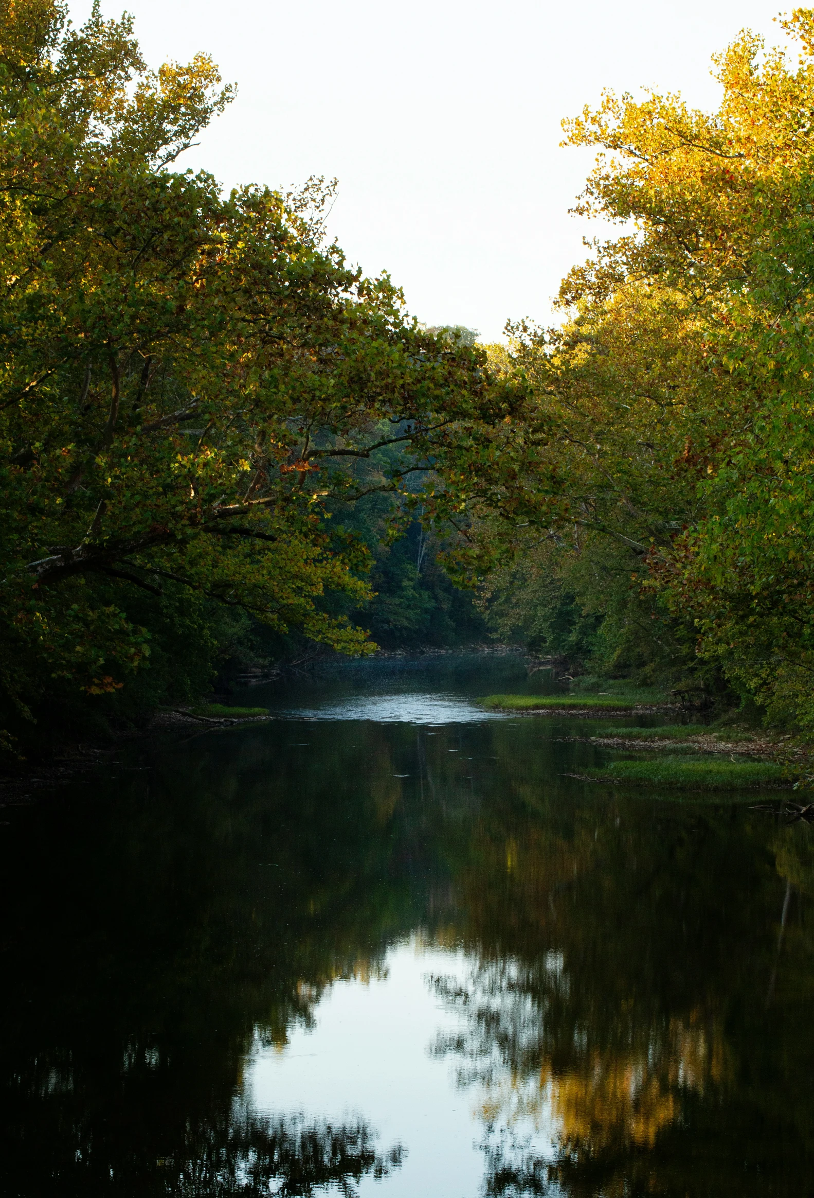 a lake surrounded by lots of trees in the middle of autumn