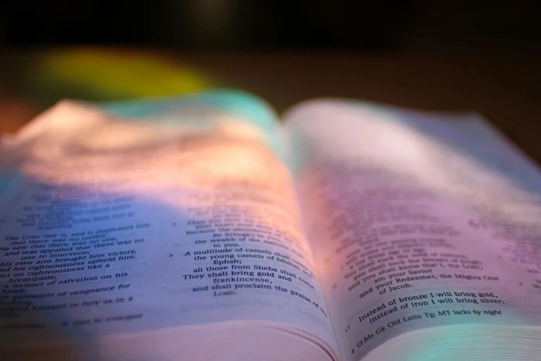 an open book on a wooden table in a blurry background