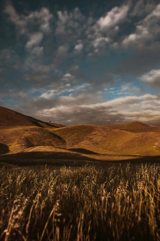 a brown field with grass on it under a cloudy sky